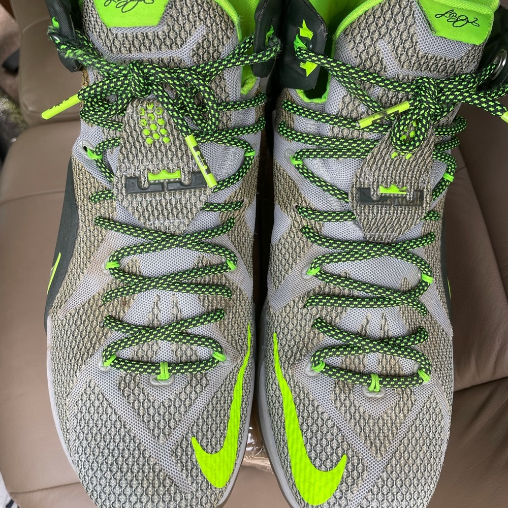 Nike LeBron Dunkman 2014 size 13